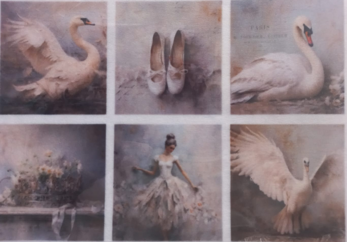 A sheet of six square decorative prints or stickers featuring vintage-style swan and ballet-themed imagery, arranged in a grid on a white backing. The designs include swans in flight, a pair of ballet flats, a ballerina, and floral still life scenes in muted beige, gray, and white tones.