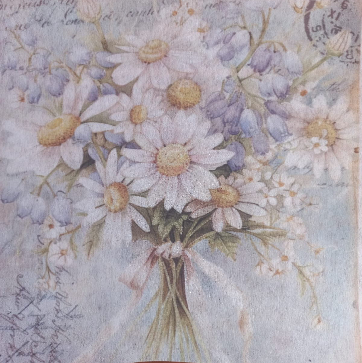 Deco Print-White Daisy 2