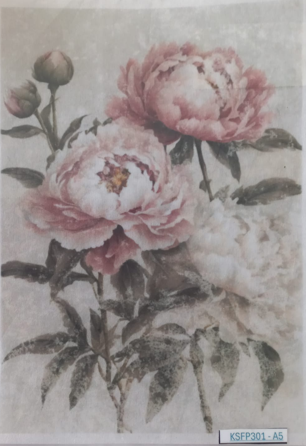 A square floral art print or card featuring two large pink peony-like flowers with dark leaves on a textured off-white background, photographed inside a clear plastic sleeve.
