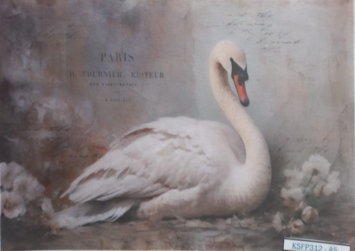 A vintage-style printed artwork showing a white swan resting against a muted gray-brown background with faint script and the text 'PARIS H. FOURNIER, EDITEUR.
