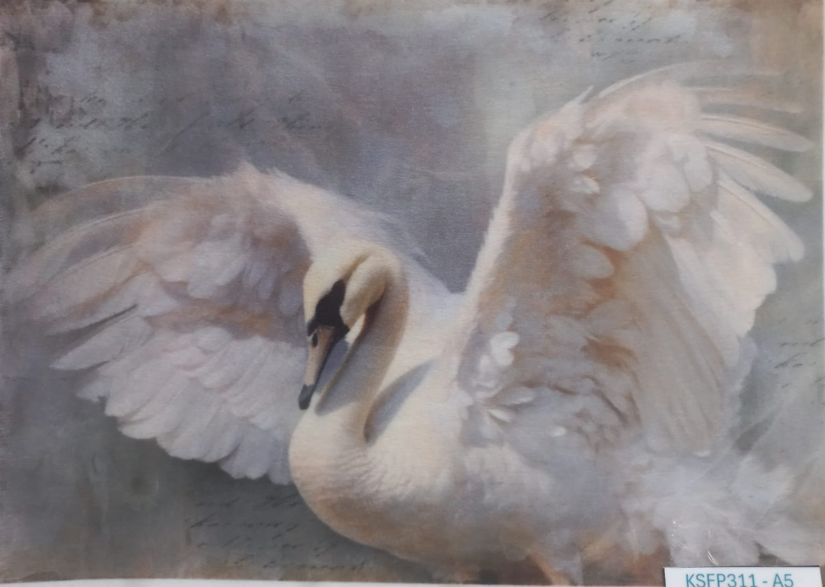 A square art print or painting depicting a white swan with wings spread, set against a soft gray and beige background. The print is photographed flat against a white surface, with a small printed code label in the bottom right corner.