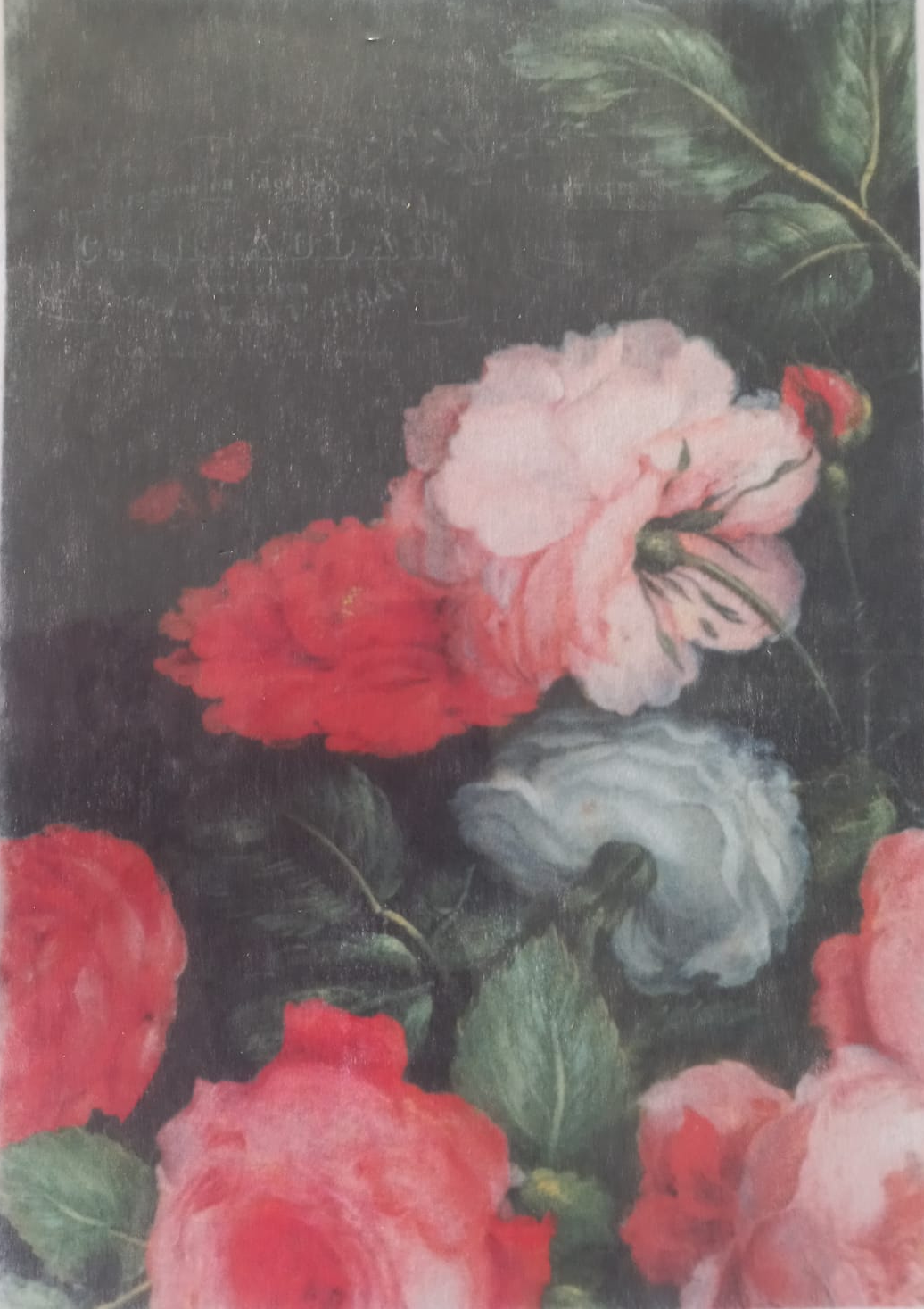 A rectangular art print or card featuring a close-up floral painting with red, pink, and pale blue flowers and green leaves against a dark background, photographed with a clear protective sleeve.