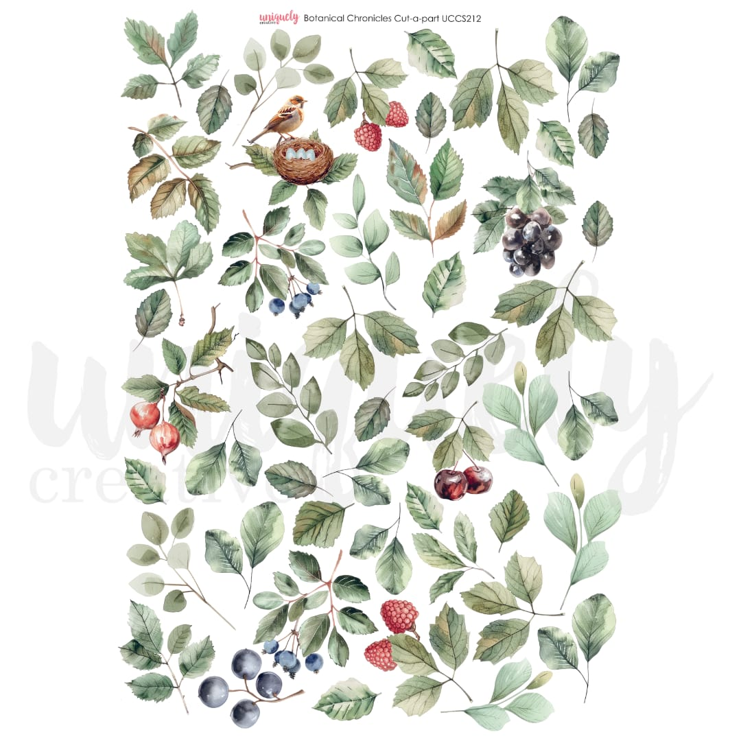 Botanical Chronicles Cut a Parts