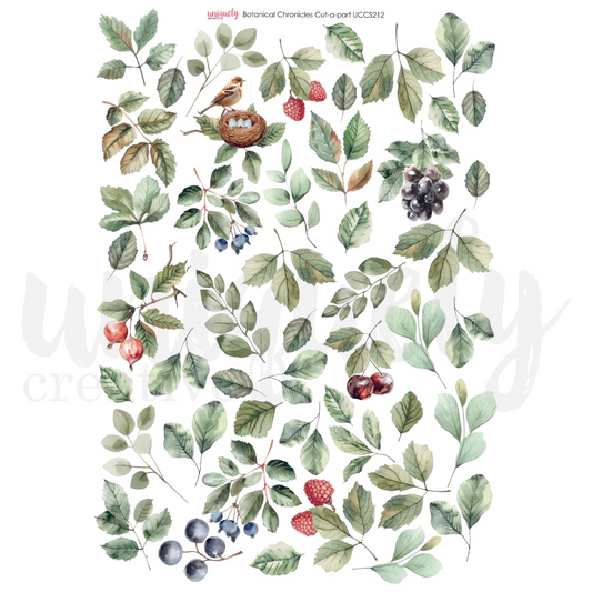 Botanical Chronicles Cut a Parts