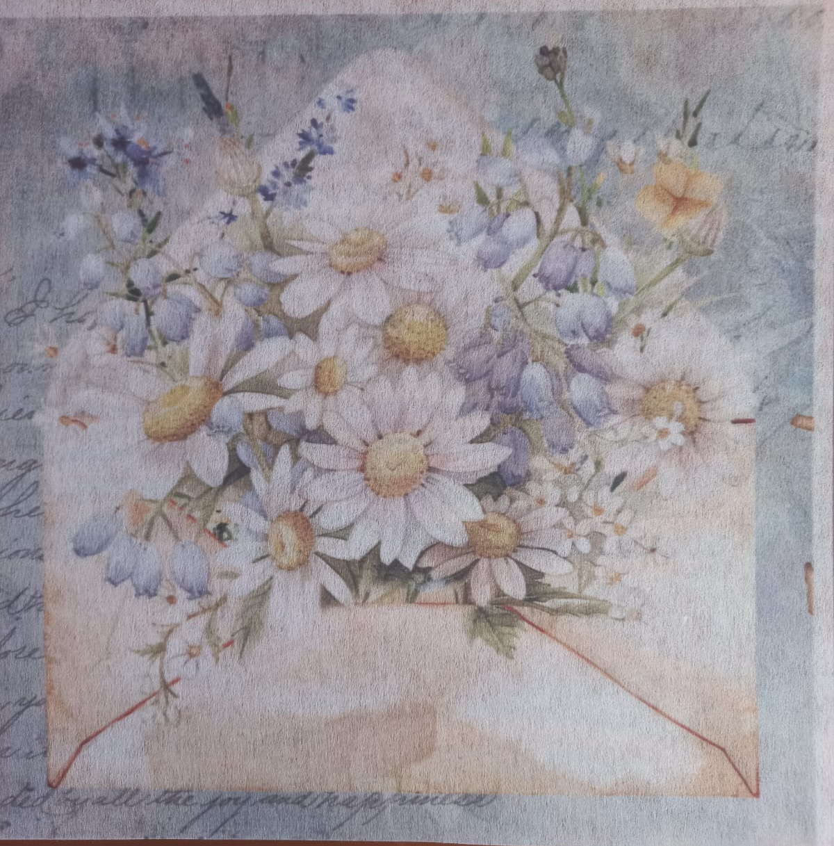 Deco Print-White Daisy 1