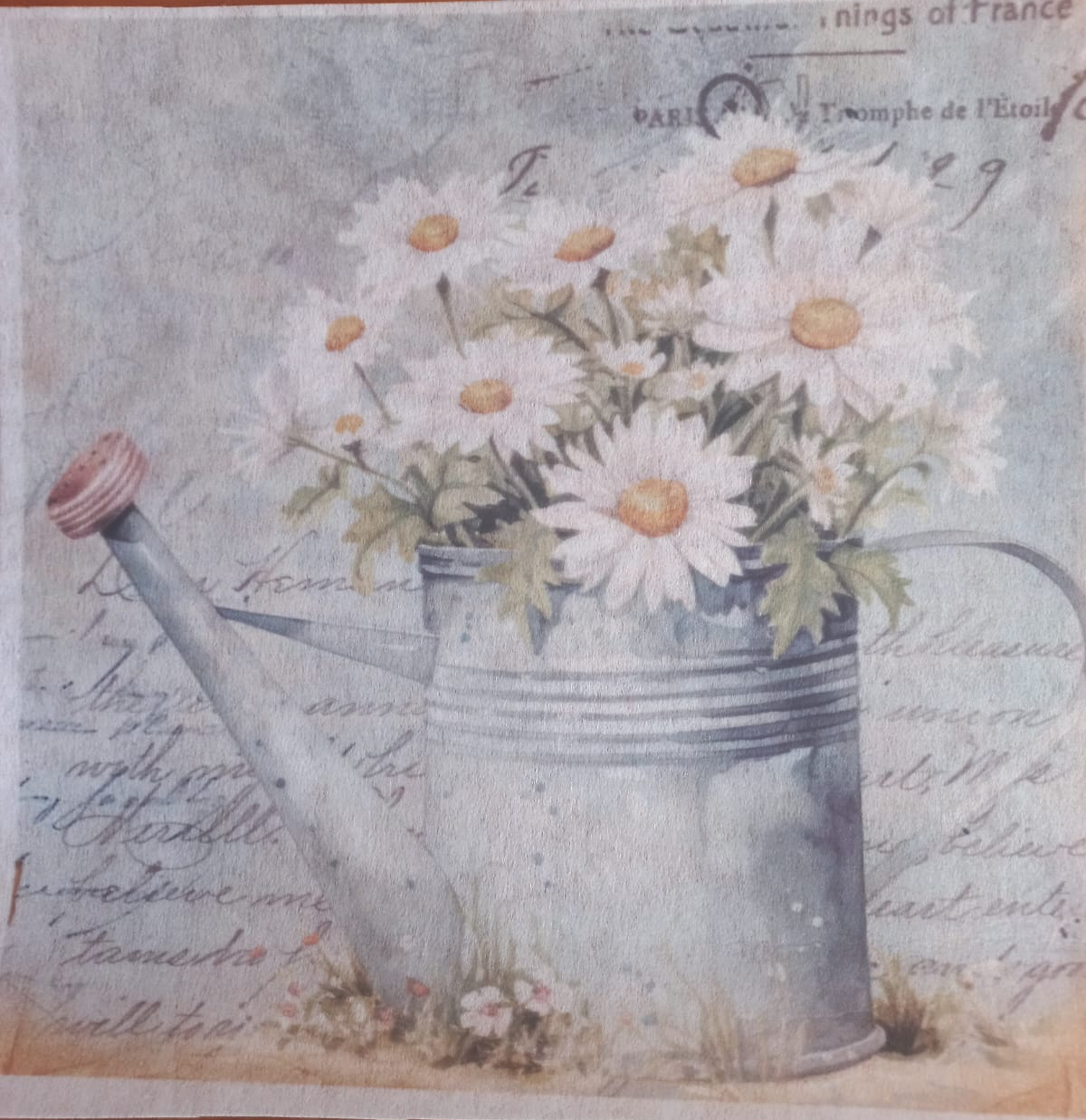 Deco Print-White Daisy 4