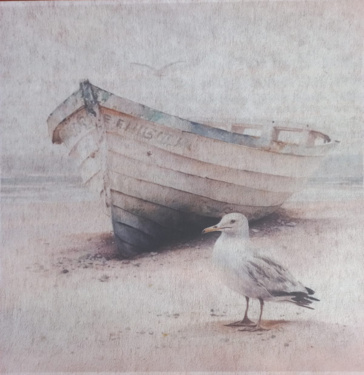 Deco Print-Coastal 2