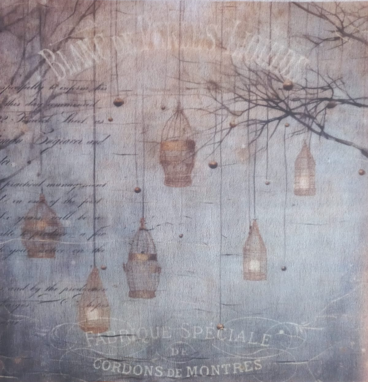 Deco Print-Vintage Birds 2