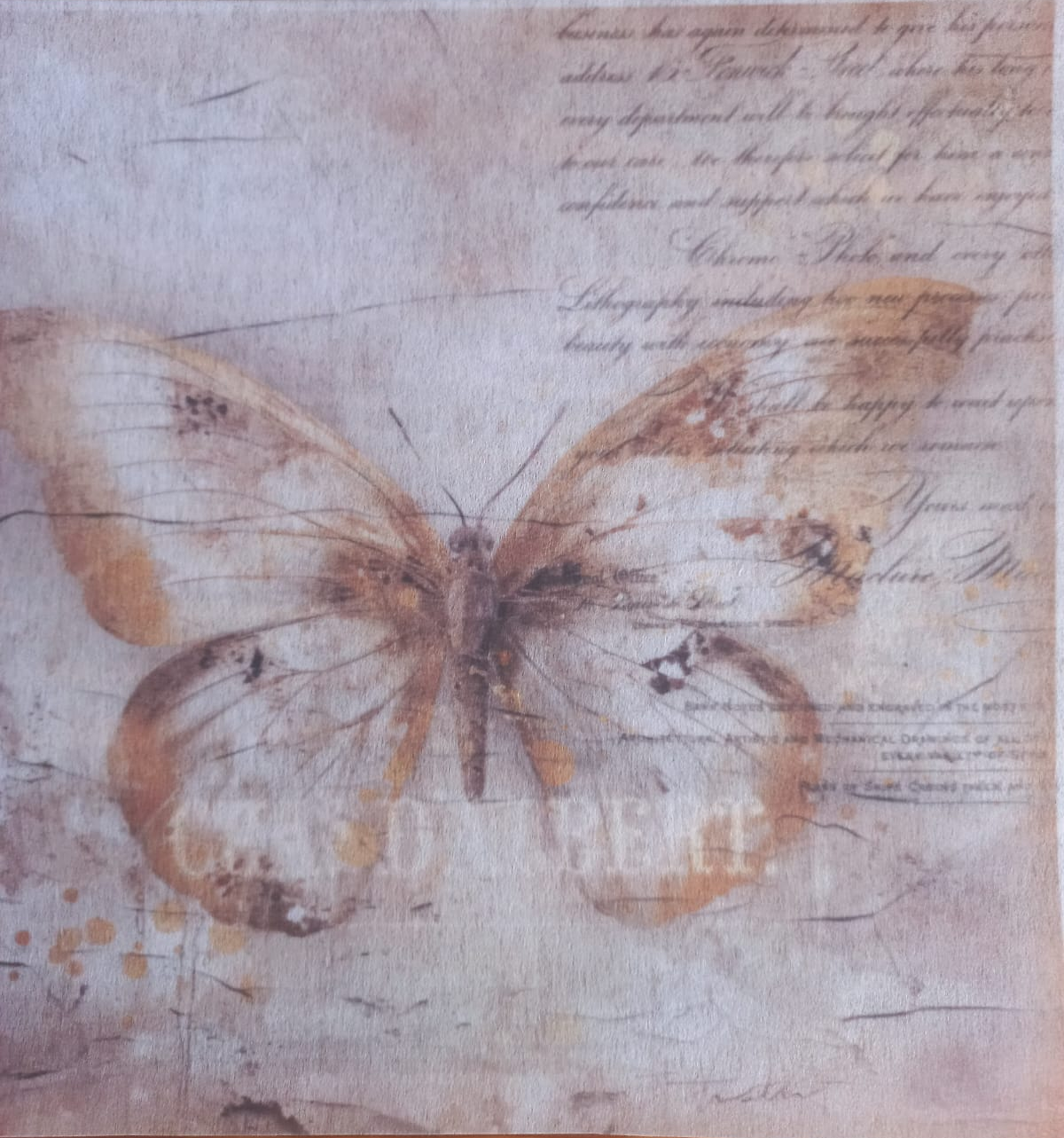Deco Print-Vintage Butterfly