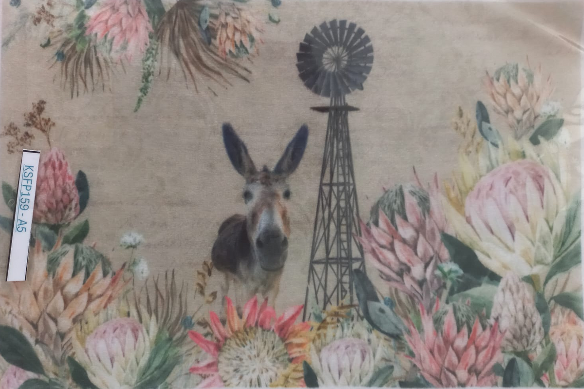 A square art print or card featuring a donkey head centered between a windmill and large pink and cream protea flowers, photographed inside a clear plastic sleeve with a white border. A small white tag with black text is visible on the left edge.