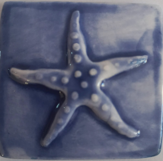 Mosaic Insert Blue Dotted Starfish 50x50