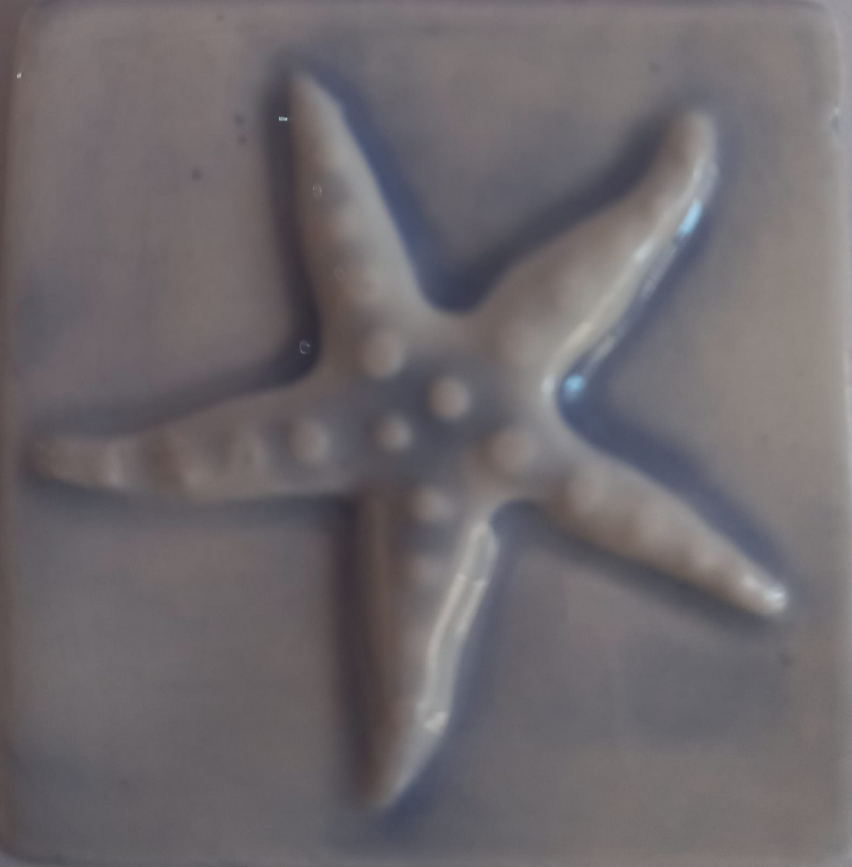 Mosaic Insert Blue Starfish 50x50