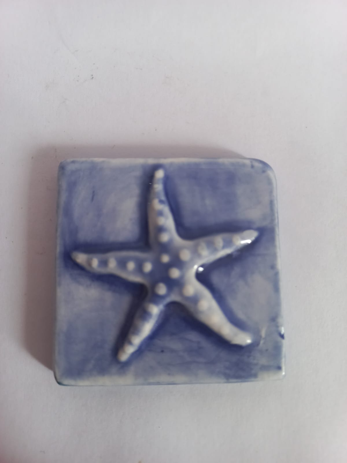 Mosaic Insert Blue Starfish 50x50