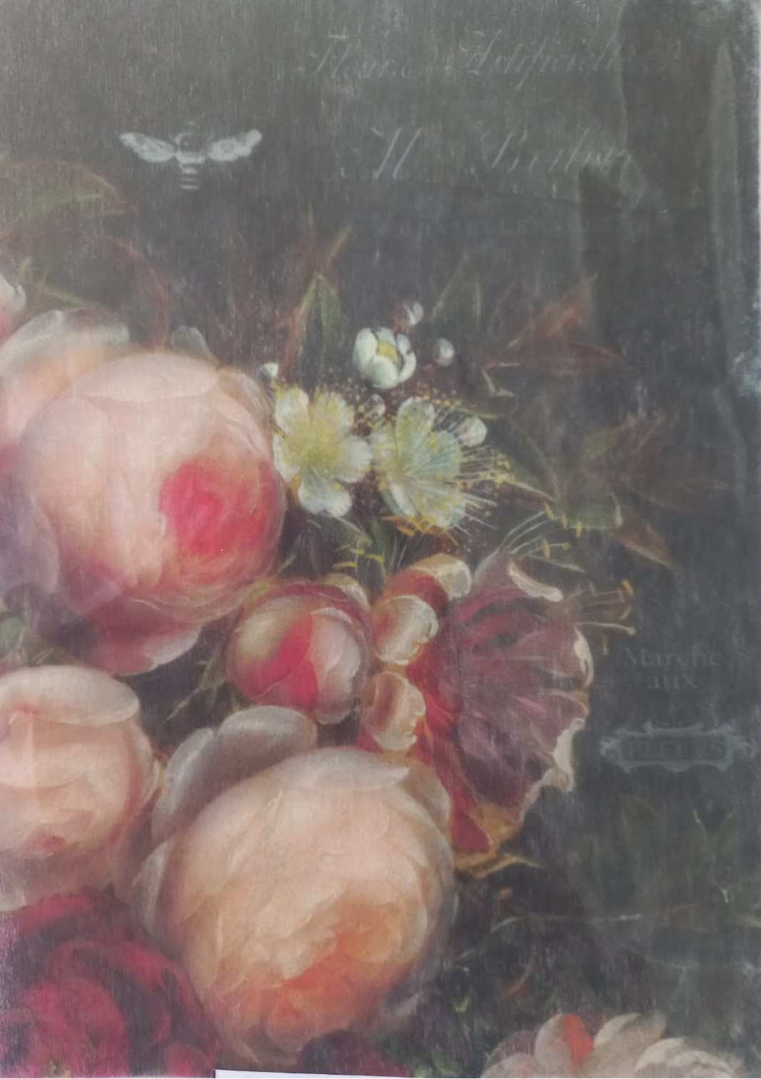 A close-up of a floral painting showing large pale pink and red peony-like blossoms with white flowers and dark green leaves against a dark background. A white strip with printed text is visible along the left edge.