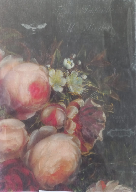A close-up of a floral painting showing large pale pink and red peony-like blossoms with white flowers and dark green leaves against a dark background. A white strip with printed text is visible along the left edge.
