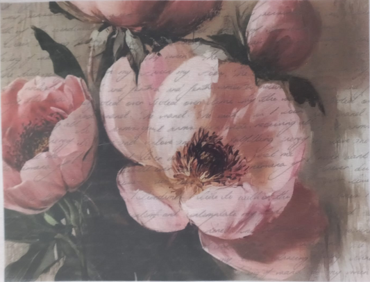 A sheet of decorative paper featuring a watercolor-style floral print of pink peonies over a vintage cursive script background, photographed flat with a protective plastic sleeve.