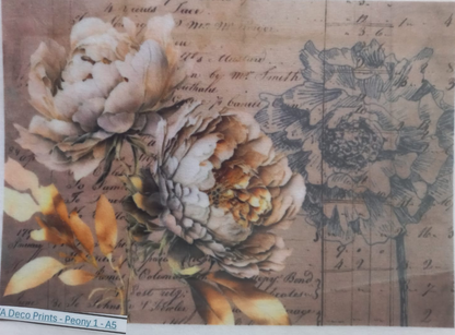 A decorative print featuring large peony flowers in soft beige, cream, and muted yellow tones over a vintage script and sketch background. The print is shown inside a clear plastic sleeve, with a label at the bottom left reading 'SVA Deco Prints - Peony 1-A5'.