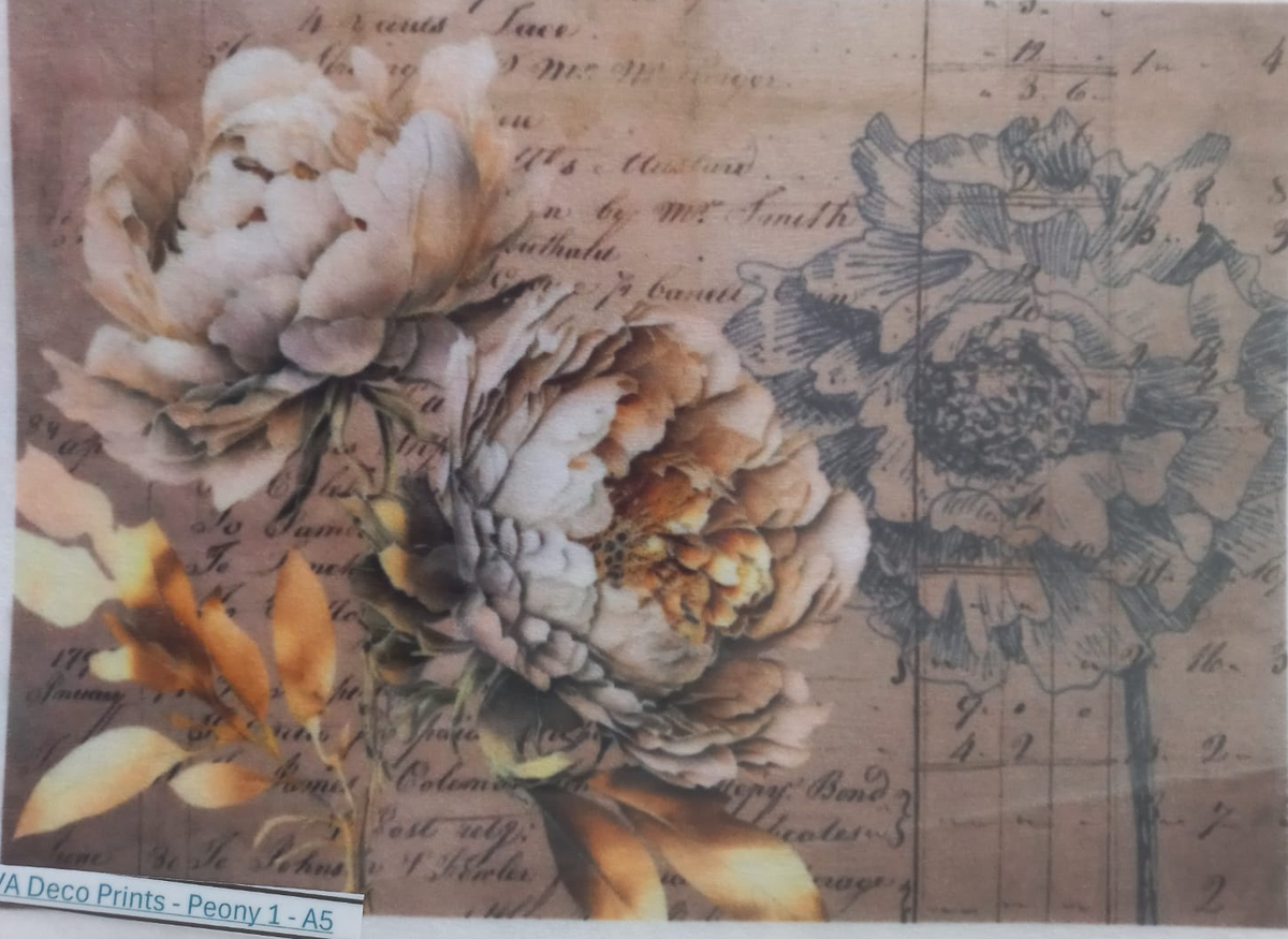 A decorative print featuring large peony flowers in soft beige, cream, and muted yellow tones over a vintage script and sketch background. The print is shown inside a clear plastic sleeve, with a label at the bottom left reading 'SVA Deco Prints - Peony 1-A5'.