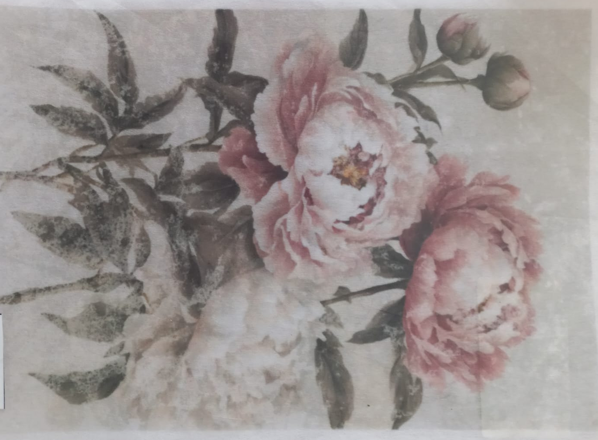 A square floral art print or card featuring two large pink peony-like flowers with dark leaves on a textured off-white background, photographed inside a clear plastic sleeve.