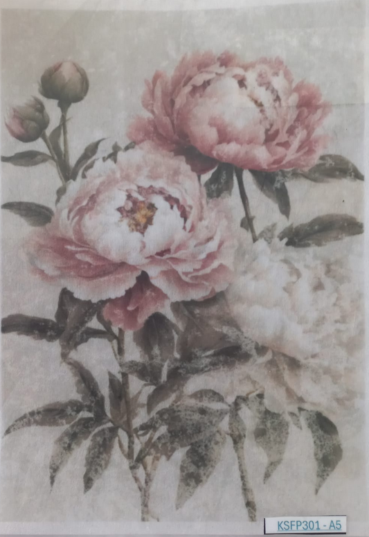 A square floral art print or card featuring two large pink peony-like flowers with dark leaves on a textured off-white background, photographed inside a clear plastic sleeve.
