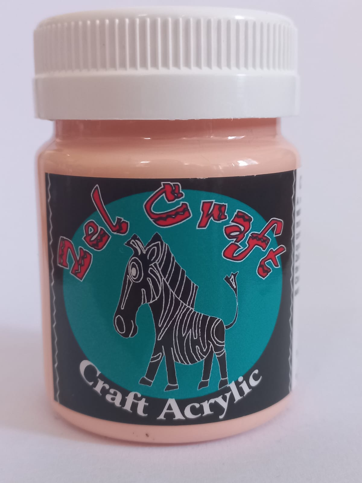 Craft Acrylic Paint Salmon