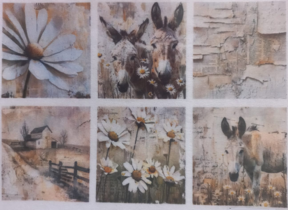 A six-panel rustic art print or wallpaper design featuring white daisies, donkeys, a small farmhouse scene, and textured beige backgrounds.