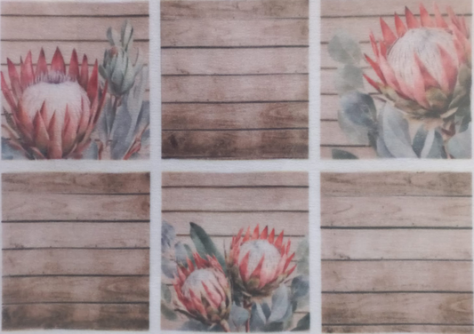 A Sheet of Six Rectangular King Protea against a Rustic Wooden Background A5