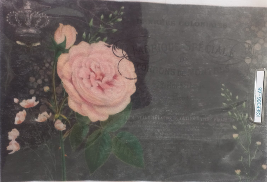 A vintage-style floral art print featuring a large pink rose and smaller blossoms on a dark textured background with decorative text, photographed inside a clear plastic sleeve.