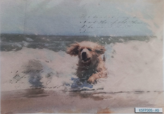 A vintage-style illustrated postcard or print showing a small fluffy dog in the surf at the beach, with handwritten script across the top and a white border. The item appears photographed inside a clear protective sleeve, with a small label reading KSFP305-A5 in the lower right corner.