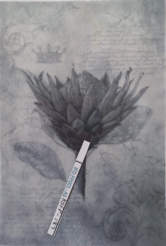 A vintage-style botanical art print featuring a detailed illustration of a protea flower in muted gray, blue-gray, and black tones, with faint script and ornamental details in the background. A small white tag with blue text is attached near the bottom center.