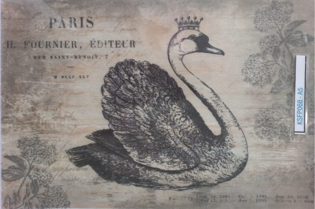 Vintage-style printed artwork featuring a black swan illustration on an aged beige paper background with French text and botanical line drawings. A small vertical label is visible along the right edge.