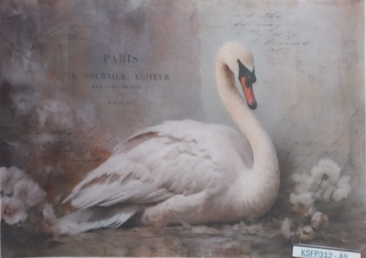 A vintage-style printed artwork showing a white swan resting against a muted gray-brown background with faint script and the text 'PARIS H. FOURNIER, EDITEUR.