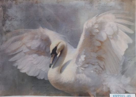 A square art print or painting depicting a white swan with wings spread, set against a soft gray and beige background. The print is photographed flat against a white surface, with a small printed code label in the bottom right corner.