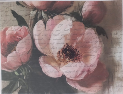 A sheet of decorative paper featuring a watercolor-style floral print of pink peonies over a vintage cursive script background, photographed flat with a protective plastic sleeve.
