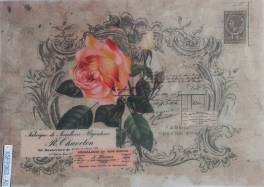 A vintage-style floral art print featuring a pink rose, ornate black scrollwork, handwritten script, and old newspaper elements on a beige background, photographed inside a clear protective sleeve.