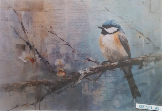 A bird painting of a blue and white bird perched on a branch, set against a textured, vintage-style background with faint script text. The artwork is presented flat, with a small label in the bottom right corner reading 'KSFP341-A5'.