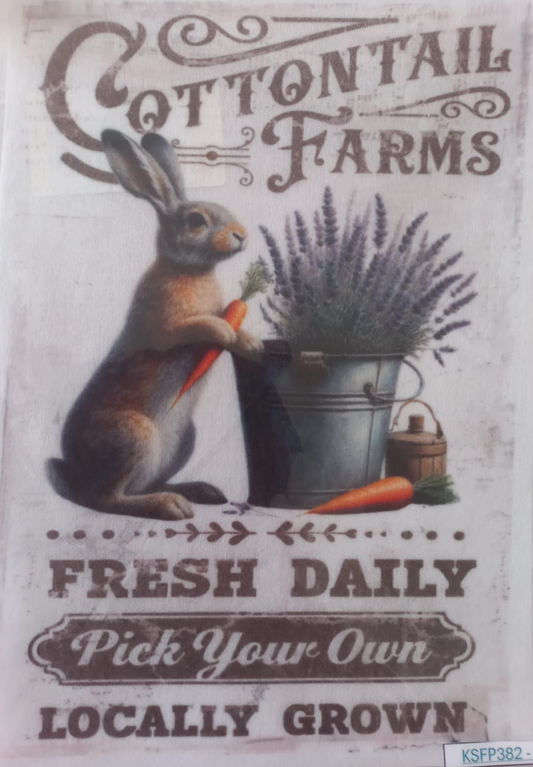 A square decorative sign or print featuring a vintage-style illustration of a rabbit holding a carrot beside a bucket of lavender, with the text 'COTTONTAIL FARMS' at the top and 'FRESH DAILY Pick Your Own LOCALLY GROWN' at the bottom.