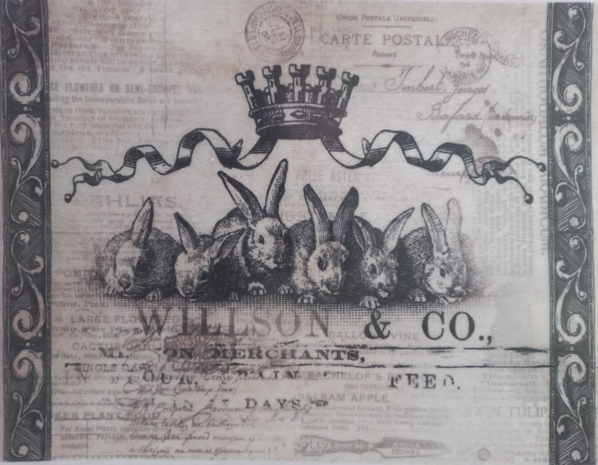 A vintage-style printed card or decorative sheet featuring a row of rabbits in profile, with decorative borders, old newspaper text, and the words 'Allison & Co.' printed prominently.