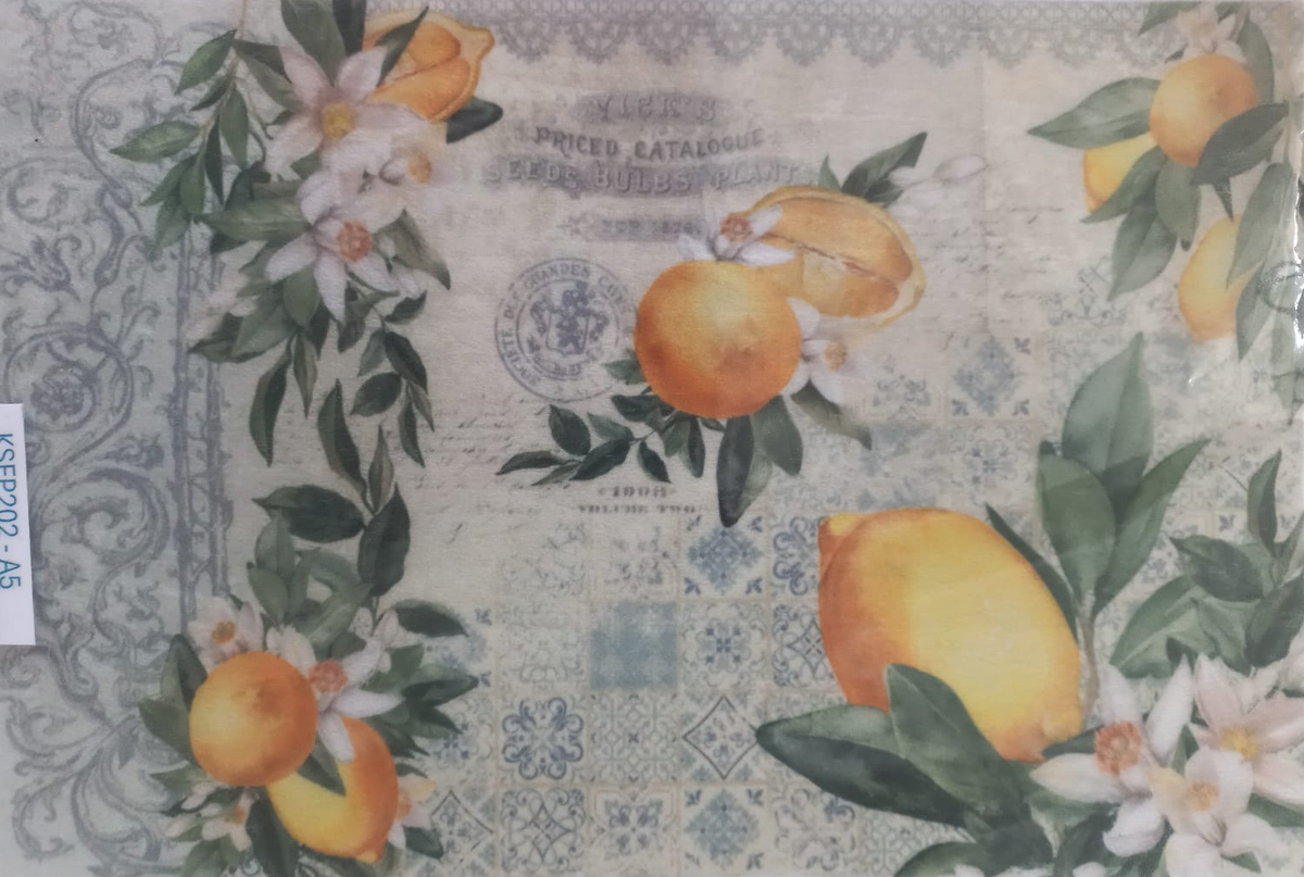 A vintage-style printed sheet or card featuring illustrated lemons, orange blossoms, and ornate blue-gray decorative borders on an aged cream background, photographed inside a clear plastic sleeve.