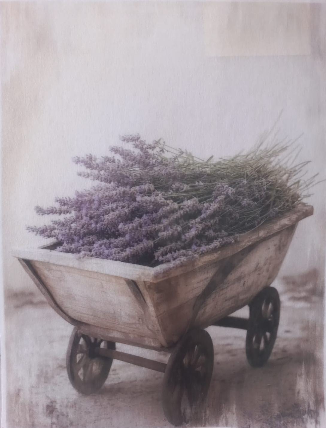 A rustic wooden wheelbarrow filled with a large bundle of lavender flowers, shown against a soft, sepia-toned background. The image has a vintage, textured print style with 'GARY' and 'Full of Honey' text visible at the top and bottom borders.