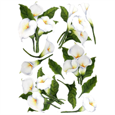 Vinyl Transfer Arum Lilies A3