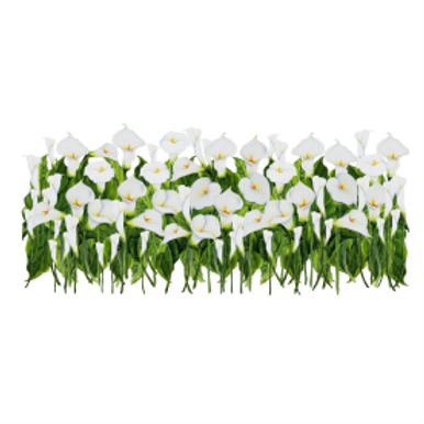 Vinyl Transfer Border Arum Lilies
