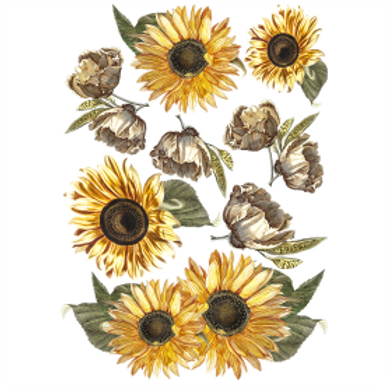 Vinyl Transfer Sunflowers A3