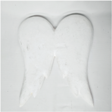 White Resin Wings